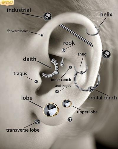 Mô phỏng 13 vị trí bấm lỗ tai được ưu chuộng hiện nay.