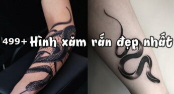 Hình Xăm Con Rắn – Ý Nghĩa Và Những Mẫu Hot Trend 2023