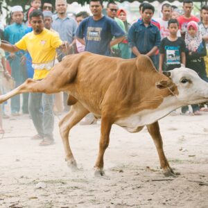 5 Địa chỉ xỏ khuyên chuyên nghiệp nhất Hà Nội