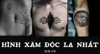 Hình Xăm Râu Trắng: 288+ Tattoo Băng Râu Trắng Đẹp