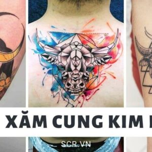 Hình Xăm Cánh Chim Đẹp [177+ Tattoo Cánh Chim Ở Lưng, Gáy]