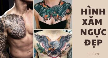 Hình Xăm Chữ Đẹp Cho Nam: Tuyển Tập 302+ Kiểu Tattoo Chữ Đẹp ❤️