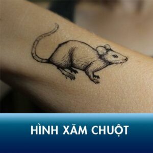 Bộ sưu tập hình xăm chuột độc đáo và dễ thương nhất