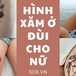 Hình Xăm Hoa Cúc Hoạ Mi Đẹp: Thêm Nhiều Ý Nghĩa Cho Mẫu Xăm Yêu Thích