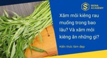 Xăm môi kiêng rau muống trong bao lâu và cách kiêng ăn phù hợp