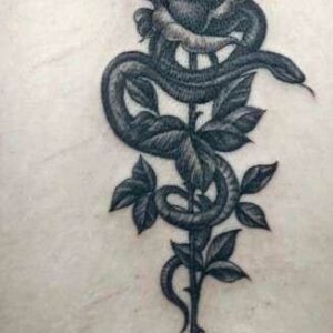 Rose Snake Tattoo Meaning Explained