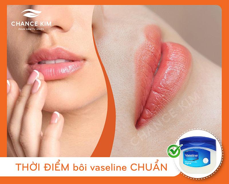 Kem Vaseline Sơn Én + Ointment khi xăm hình Tattoo | Shopee Việt Nam