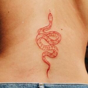 Snake Tattoos: What Do They Really Mean? - Sorry Mom