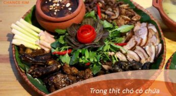 Phun môi: Có nên kiêng thịt chó không?