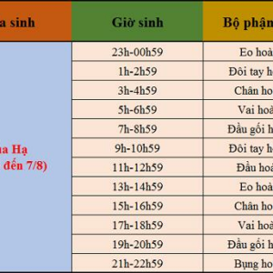 Xem bói giờ sinh theo cơ thể Hoàng Đế đoán vận mệnh tương lai hạnh phúc hay gian truân