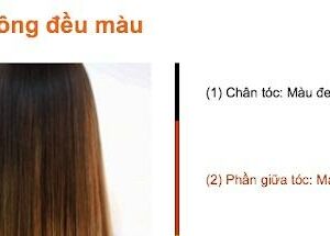 Cách nhuộm tóc 2 khúc màu