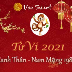 Tử Vi Tuổi Canh Thân 2021 - Nam Mạng Sinh Năm 1980 Chi Tiết