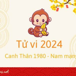 Tử Vi Tuổi Canh Thân 1980 Năm 2024 - Nam Mạng
