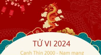 Tử Vi Tuổi Canh Thìn 2000 Năm 2024 – Nam Mạng: Tổng Quan và Cách Hóa Giải Sao Hạn