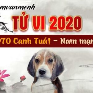 Tử vi năm 2020 tuổi Canh Tuất 1970 nam mạng: Tìm hiểu những điều đặc biệt