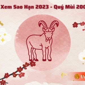 Tử Vi Nam Mạng Sinh Năm 2003 Năm 2023