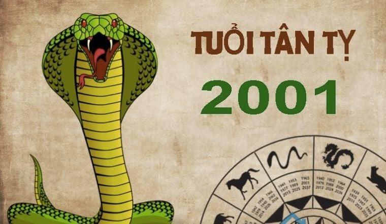 xem-tu-vi-tuoi-tan-ty-2001-nam-mang-nam-2024-chi-tiet-nhat