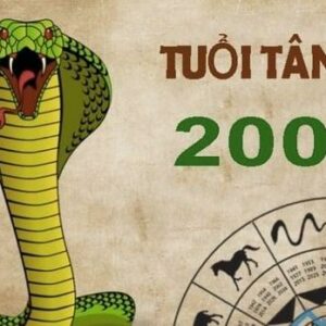 Xem Tử Vi Tuổi Tân Tỵ 2001 - Nam mạng năm 2024 CHI TIẾT NHẤT