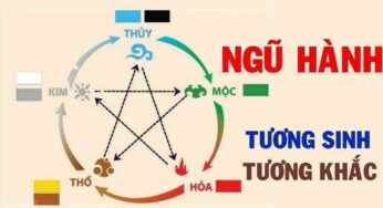 Năm 2021 – Nhìn lại những khả năng của các con giáp