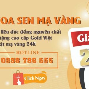 Tử vi tuổi Đinh Mão 1987 Nam mạng năm Ất Tỵ 2025