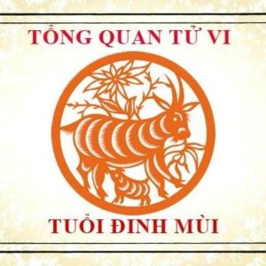 Tử Vi Tuổi Đinh Mùi 1967 - Một Tổng Quan Về Năm 2024