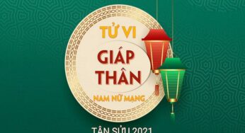 Tử vi Giáp Thân năm 2021: Nhìn lại tình duyên, sức khỏe và công danh