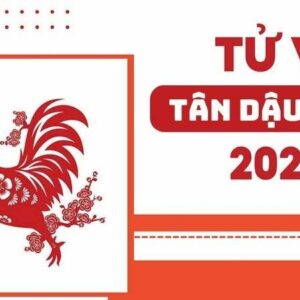 Tử vi Tân Dậu 1981 trọn đời – Dự báo năm 2023 của Tân Dậu mới nhất