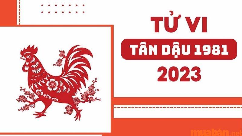 Tử vi Tân Dậu 1981 trọn đời – Dự báo năm 2023 của Tân Dậu mới nhất