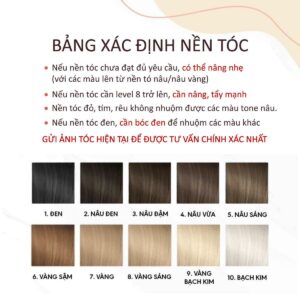 Thuốc Nhuộm Tóc Dạng Tuýp Màu Xám Khói Ánh Xanh: Chuyển đổi phong cách tóc thời thượng tại nhà!