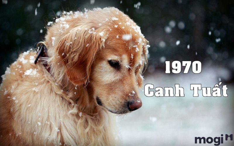 1970 Tuổi Gì? Mệnh Gì? Luận Giải Chi Tiết Tử Vi Canh Tuất 1970