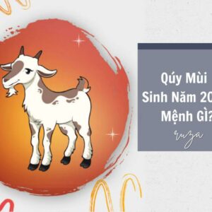 Tuổi Quý Mùi 2003 Mệnh Gì? Hợp Với Tuổi Gì, Hợp Màu Gì?