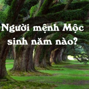 Người mệnh MỘC sinh năm nào? Bạn có phải mệnh MỘC không