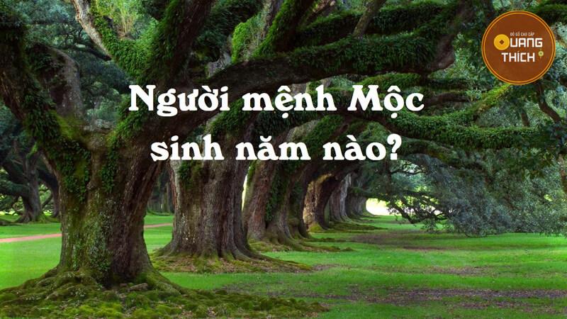 Người Mệnh Mộc Sinh Năm Nào?