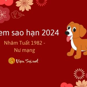 Tử Vi Tuổi Nhâm Tuất 1982 Năm 2024: Bí Mật Vận Mệnh Nữ Mạng