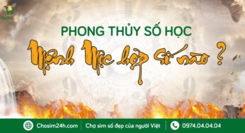 Phong Thủy Số Học: Tìm hiểu số hợp với Mệnh Mộc