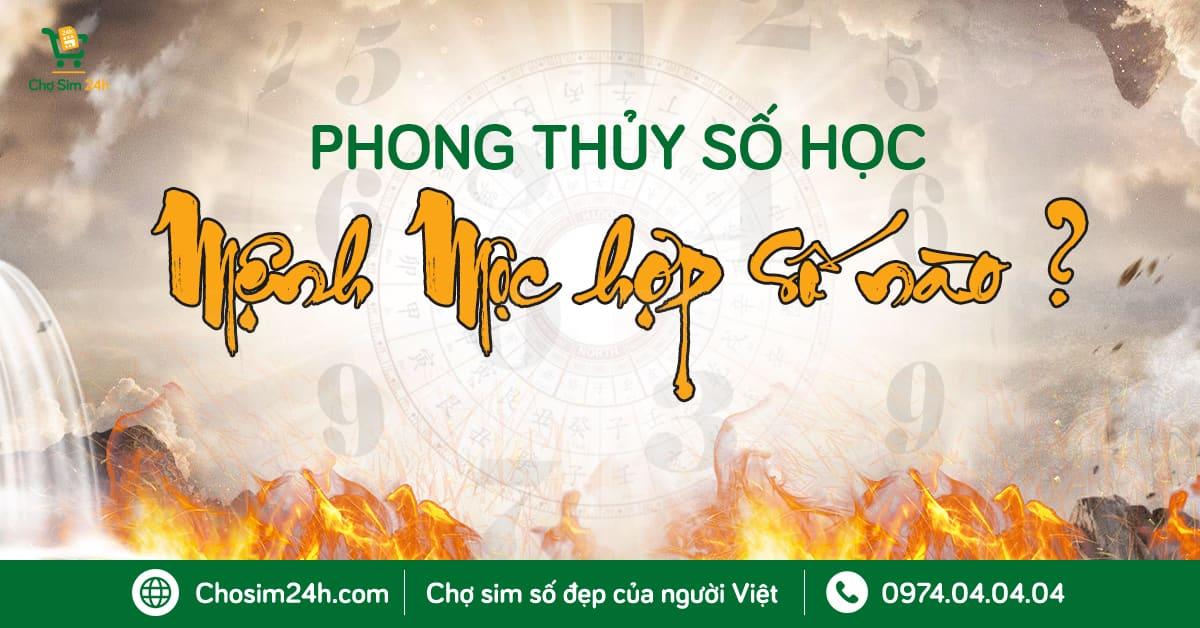 Phong Thủy Số Học: Mệnh Mộc hợp số nào? Khám phá những con số tốt nhất