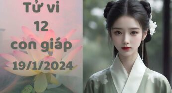 Tử vi hôm nay 19/1/2024: Những dự đoán vui vẻ cho 12 con giáp