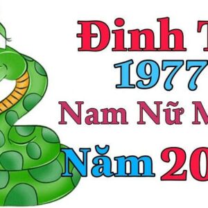 Chi tiết tử vi tuổi Đinh Tỵ 1977 trong năm 2022