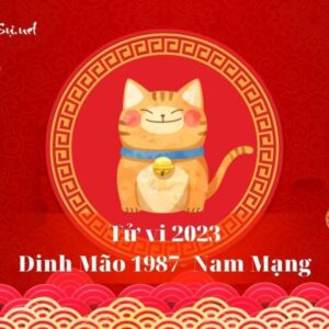 Tử Vi Tuổi Đinh Mão 1987 Năm 2023 - Nam Mạng