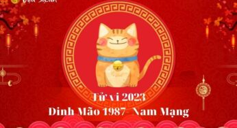 Tử Vi Tuổi Đinh Mão 1987 Năm 2023 – Nam Mạng