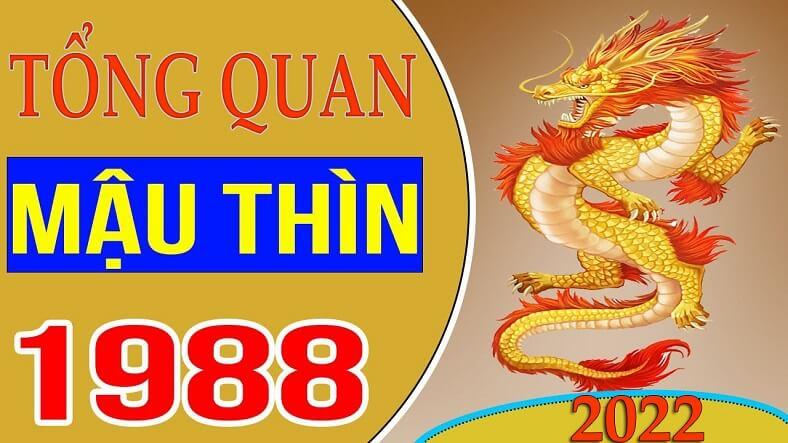 Tử vi tuổi Mậu Thìn 1988 trong năm 2022 Nhâm Dần