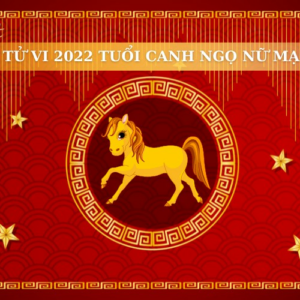 Tử Vi Tuổi Canh Ngọ Năm 2022 - Nữ Mạng 1990: Những Bước Đi Tươi Sáng Trong Thập Kỷ Mới