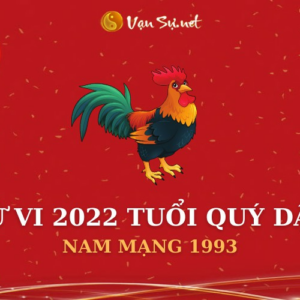 Tử Vi Tuổi Quý Dậu Năm 2022 - Nam Mạng 1993 Chi Tiết
