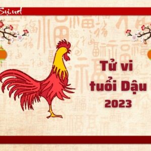 Tử Vi Tuổi Quý Dậu 1993 Năm 2023 - Nữ Mạng