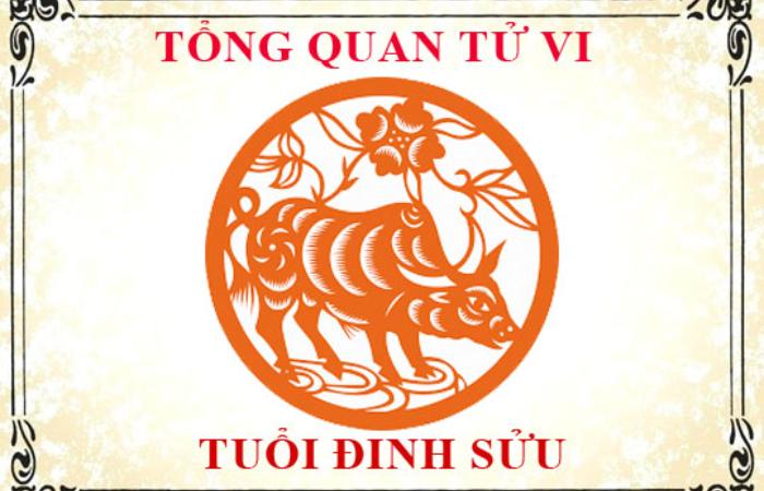 Tử Vi Tuổi Đinh Sửu 1997 Năm 2023: Sự Sao Lưu Ảnh Hưởng Tới Tài Lộc, Tình Duyên Và Sức Khỏe