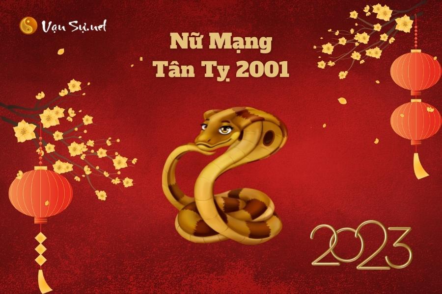 Tử vi Tân Tỵ nữ mạng năm 2023