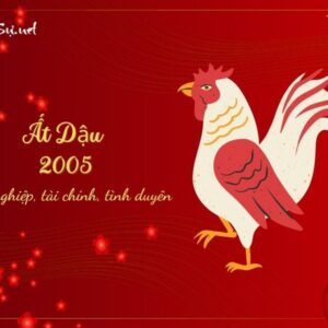 Tuổi Ất Dậu 2005 Nam Mạng - Tự Vi 2023