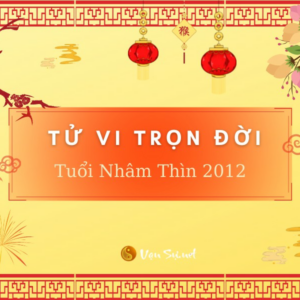 Tử Vi Tuổi Nhâm Thìn 2012 - Nữ mạng | Chi tiết tử vi trọn đời