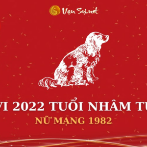 Tử Vi Tuổi Nhâm Tuất Năm 2022 - Nhâm Tuất Nữ Mạng 1982