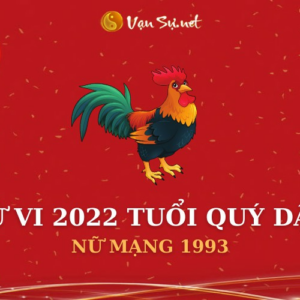 Tử Vi Tuổi Quý Dậu Năm 2022 - Những Điều Đặc Biệt Về Nữ Mạng 1993